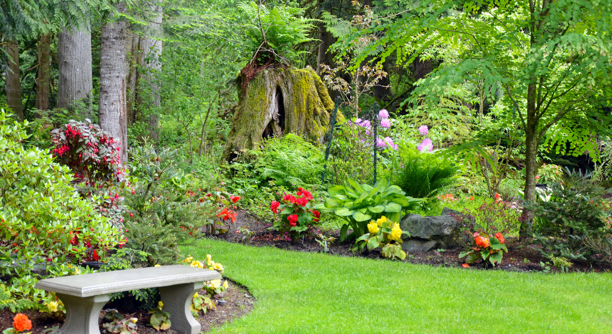 Zahrada