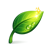 Ikona